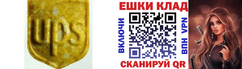Экстази ешки Великий Устюг