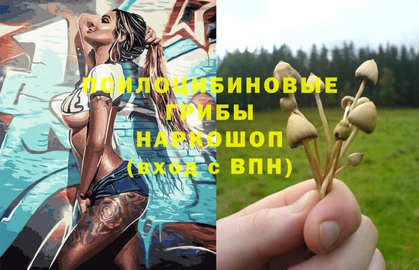 крисы Беломорск