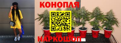 метадон Жуковский
