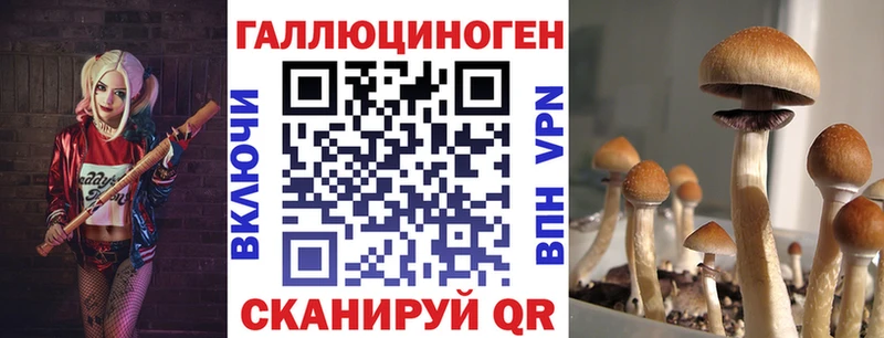 MEGA ссылка  Великий Устюг  Галлюциногенные грибы GOLDEN TEACHER 