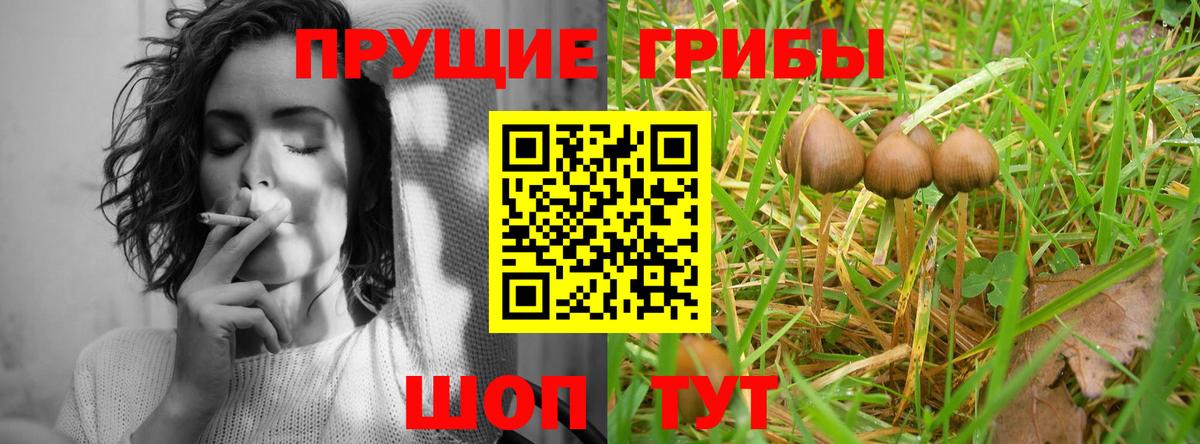 Галлюциногенные грибы ЛСД Великий Устюг