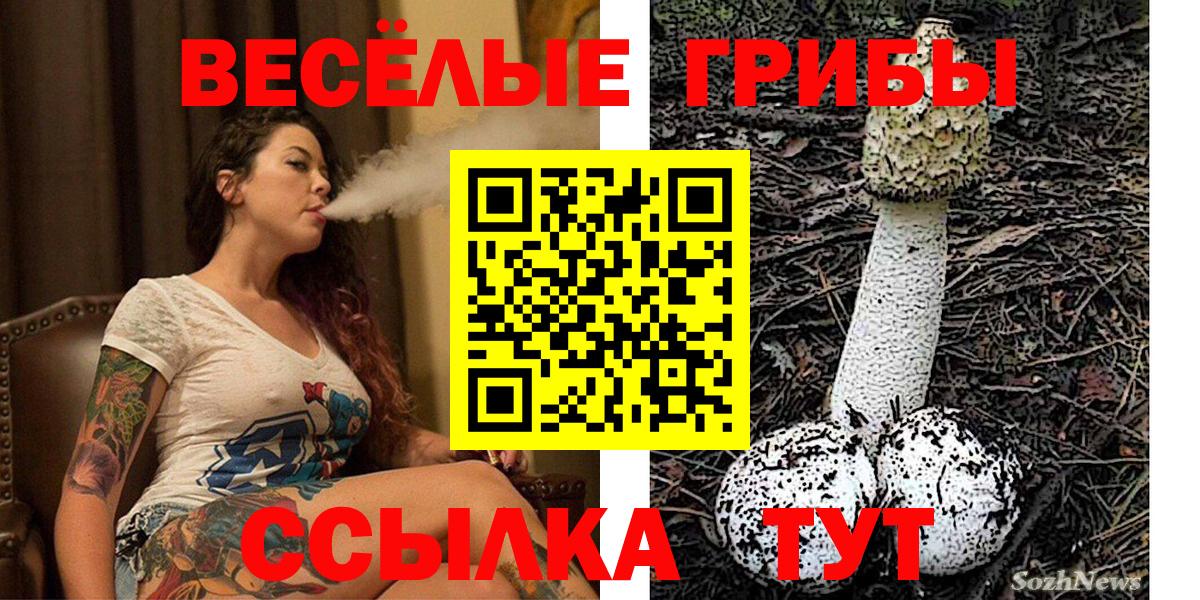 что такое наркотик  Галлюциногенные грибы Psilocybine cubensis  Вход с VPN  Великий Устюг  Псилоцибиновые грибы мухоморы 